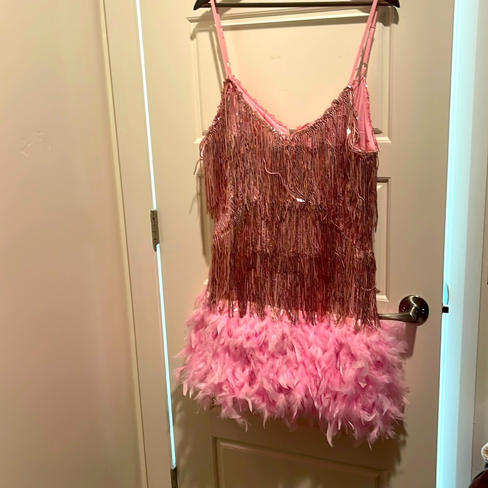 Cute Pink Flapper Costume. Size XL new without tags